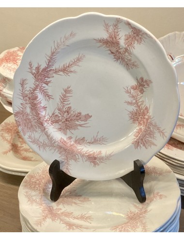 Dinerbord - Wedgwood - décor ETRURIA GORSE rood/roze - Rd.No. 153229