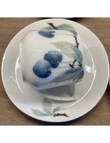 Cup and saucer - tapered model - Rosenthal Bavaria - model DONATELLO - décor BLUE CHERRY / BLAUE KIRSCHE