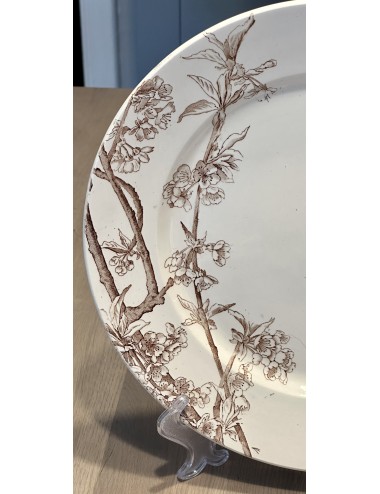 Plate - large model - Creil & Montereau - SERVICE CERISIERS in brown with cherry blossom