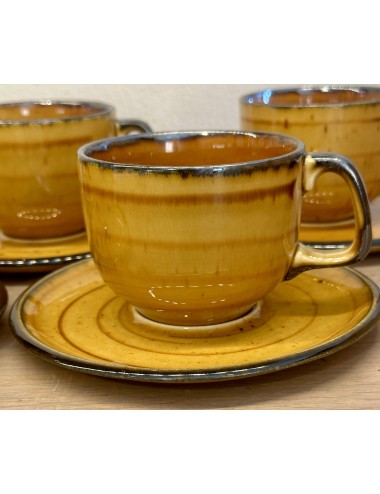 Cup and saucer - Boch - décor PALMA executed in shades of brown - shape MENUET