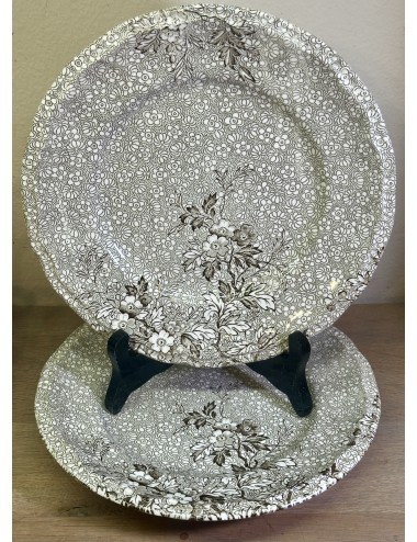 Breakfast plate / Dessert plate - Enoch Wedgwood Tunstall Ltd. - décor MONIQUE executed in brown