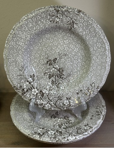 Deep plate / Soup plate / Pasta plate - Enoch Wedgwood Tunstall Ltd. - décor MONIQUE executed in brown