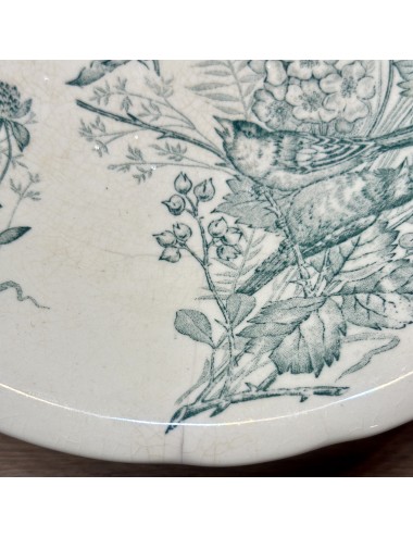 Tazza / Presentation dish - on low base - Mouzin Lecat & Co - décor of 2 birds on a branch, clover and insects