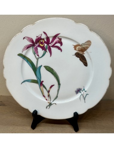 Dinner plate - porcelain - unmarked - décor of flowers and butterfly with scalloped edge