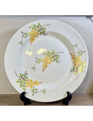 Plate / Pancake plate - larger, round, flat model - Petrus Regout - décor GOUDEN REGEN with yellow (bell) flowers
