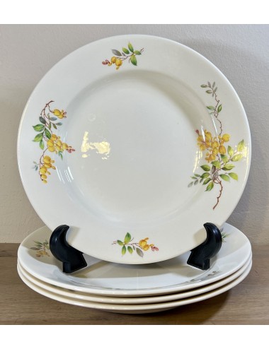 Deep plate / Soup plate / Pasta plate - Petrus Regout - décor GOUDEN REGEN with yellow (bell) flowers