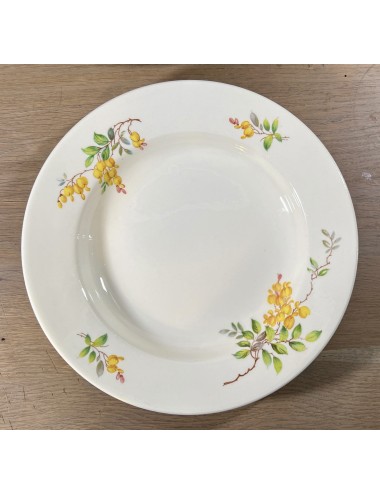 Deep plate / Soup plate / Pasta plate - Petrus Regout - décor GOUDEN REGEN with yellow (bell) flowers
