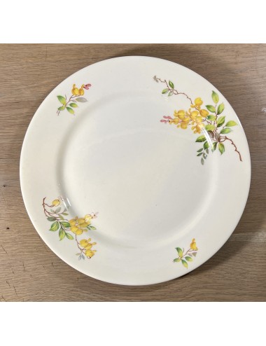 Dinner plate - Petrus Regout - décor GOUDEN REGEN with yellow (bell) flowers
