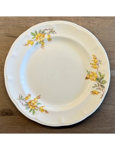 Ontbijtbord / Dessertbord - Petrus Regout - décor GOUDEN REGEN (klokjesbloem) met een gele bloemen